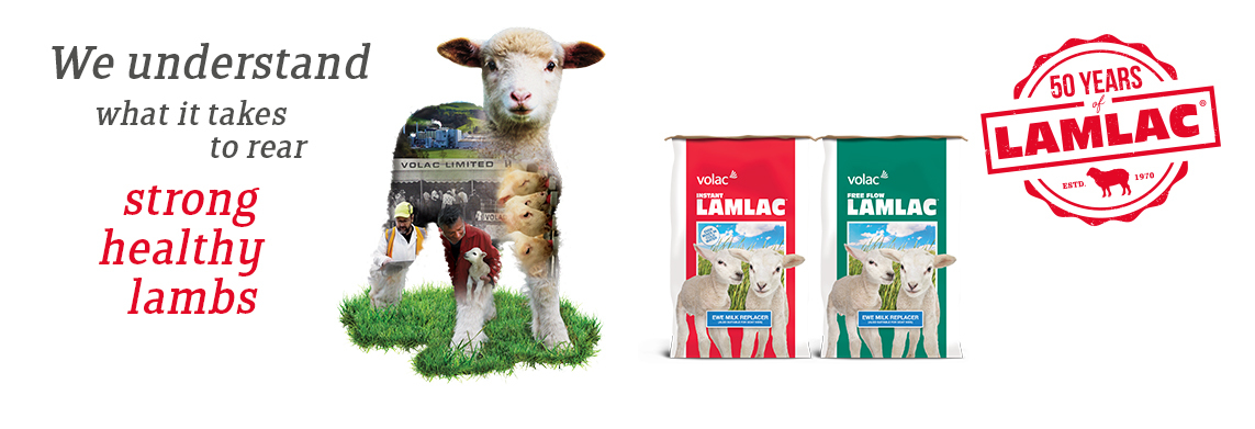 Banner showing lambs and Lamlac packaging