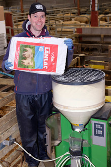 Roger and Hilary Bell, Co Antrim upland farm, Suffolk, 550 ewes