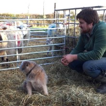 Toby Dean, The Cambridge Lamb Company, 170 breeding ewes