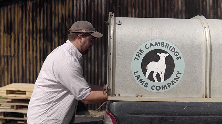 Young farmer boosts lamb sales growth with high-quality inputs