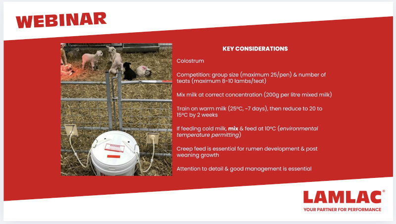 Winning at Weaning - on-demand webinar on colostrum management and milk replacer feeding