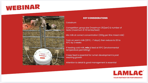 Winning at Weaning - on-demand webinar on colostrum management and milk replacer feeding