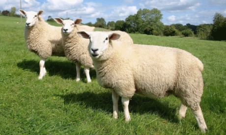 5 top post tupping tips