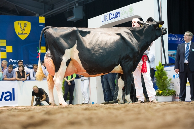 UK Dairy Day