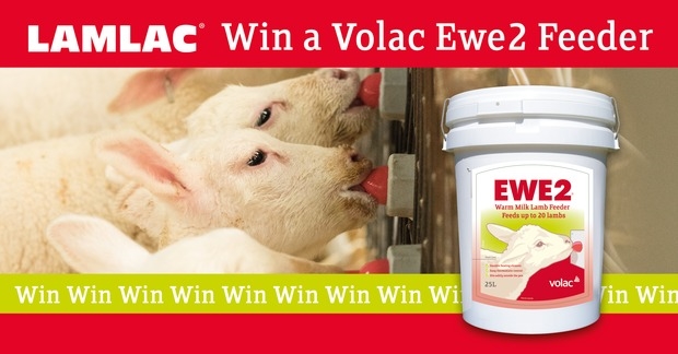 Win a EWE 2 Feeder with Lamlac