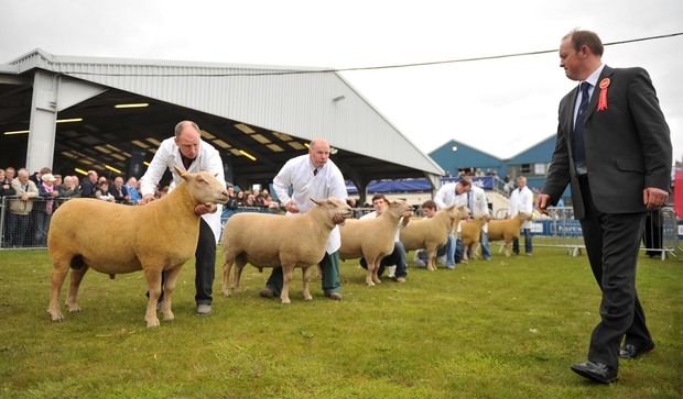Join Lamlac at NSA Sheep 2018