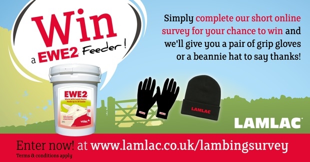 Lamlac Feedback Survey 2017/18