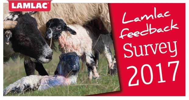Lamlac feedback survey 2017