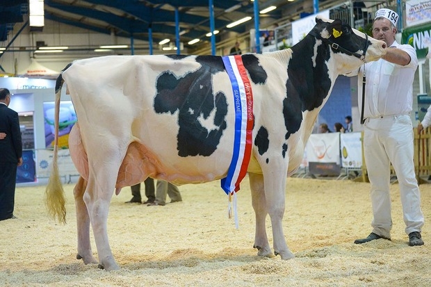 The Bath & West Dairy Show